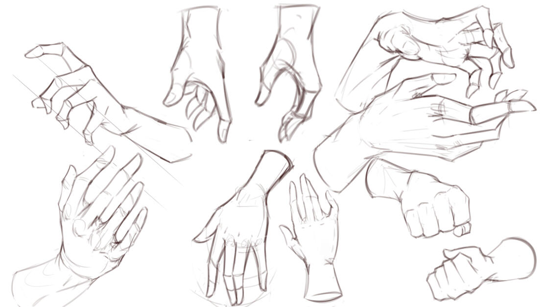 Character Anatomy study